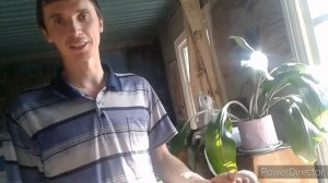 Инкубатор. Как проверить яйцо  с зародышем оно или нет.( Часть 2 )