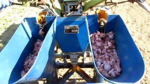 Посадка чеснока мотоблоком!