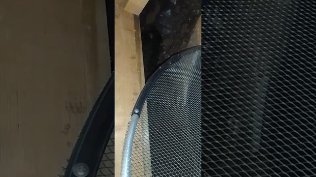 Сокровища дикой природы