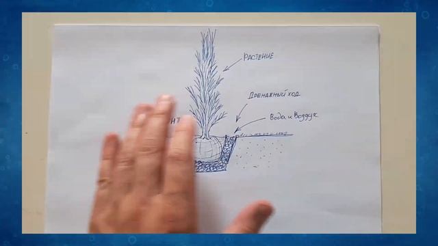 КАК ВЫСАДИТЬ ТУИ? ЛУЧШИЙ МЕТОД! - Дренажный канал из пеностекла GrowPlant для аэрации и полива смотреть онлайн