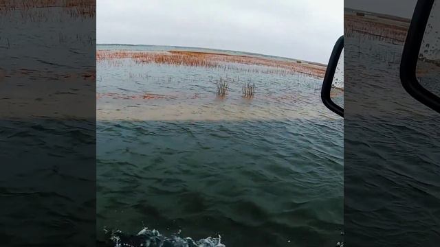 Dune Road- Sinking? Hampton Bays