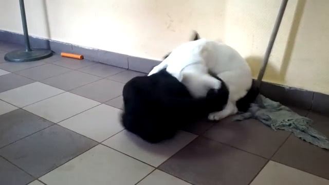 Добро побеждает зло