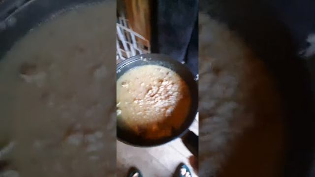 Чем кормить лабрадора | Собака лабрадор Тафгай ест болты с курицей в соусе смотреть онлайн