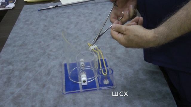 Как держать колесо? смотреть онлайн