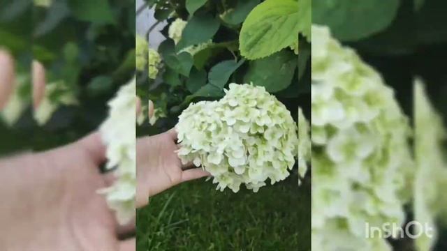 Обычное утро Лены Ветер. На bmw на работу. Жизнь за город. Ramil' Сияй. Лето это маленькая жизнь. смотреть онлайн