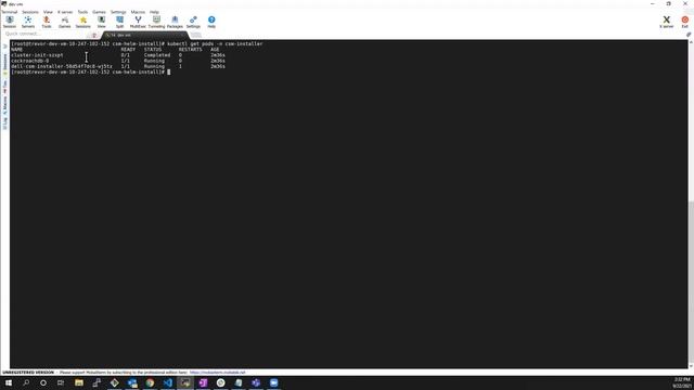 Dell Container Storage Modules (CSM) Installer смотреть онлайн