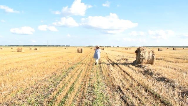 Sunflowers fields / ПОДСОЛНУХОВЫЕ ПОЛЯ!