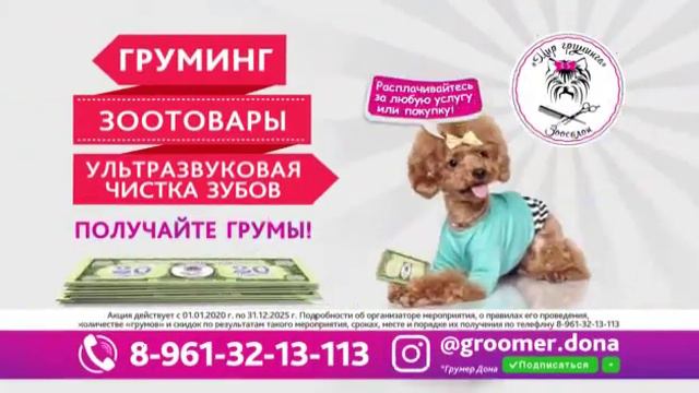 Реклама зоосалона смотреть онлайн