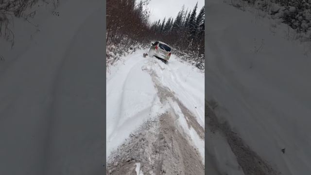Сказал хорошая дорога проедем ? #shorts #car #offroad #toyota #авто