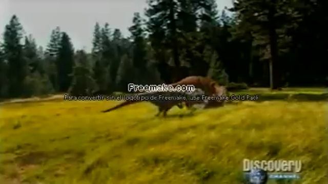 planeta dinosaurio el viaje de alfa parte 3 смотреть онлайн