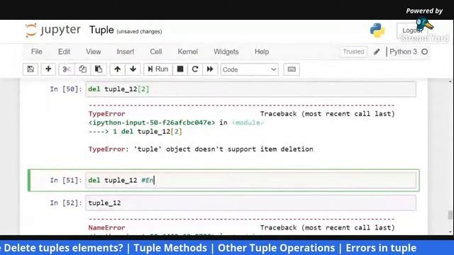 Python Tuple | Tuple Methods in Urdu/Hindi смотреть онлайн