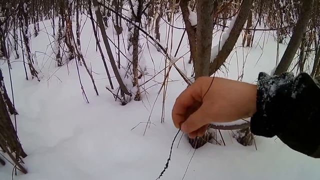 Ставим петли на зайца. смотреть онлайн