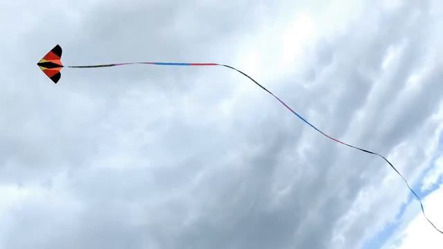 Полет воздушного змея с 30-и метровым хвостом смотреть онлайн