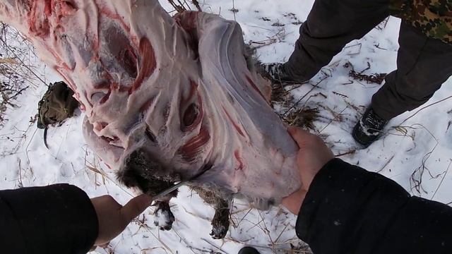 разделка бобра смотреть онлайн