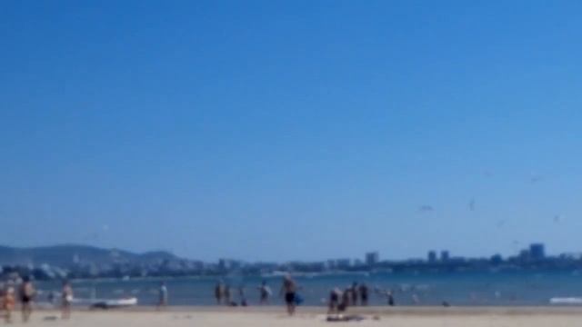 Чайки. Чёрное море. смотреть онлайн
