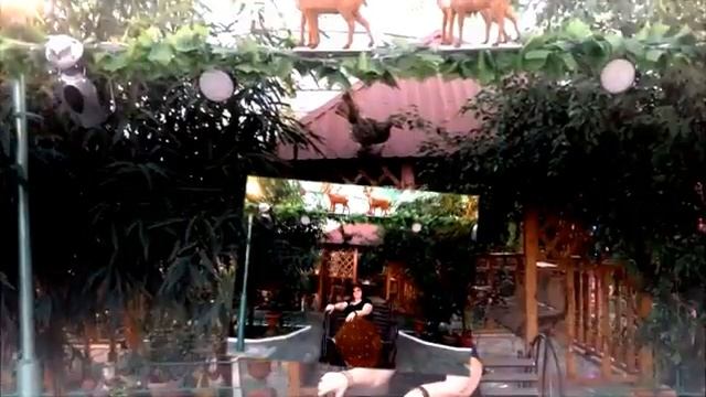 "Мы с тобой как птицы" Автор и исполнитель Людмила Якушева смотреть онлайн