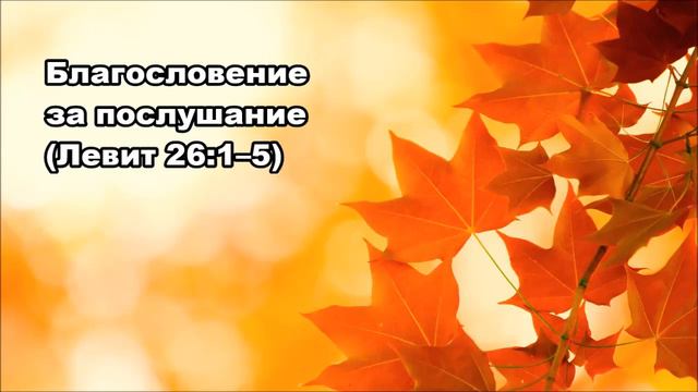Тихое время с Живой Жизнью: Левит 26:1–13 (25102019) смотреть онлайн