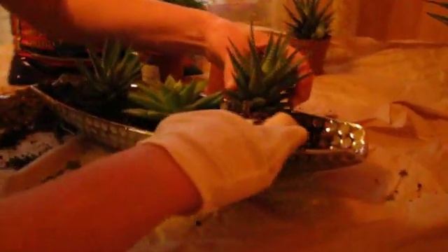 посадка цветочной композиции своими руками!) смотреть онлайн