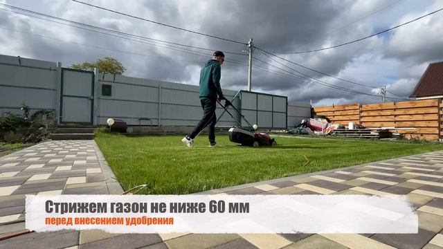 Вечно-зеленый газон | Осенняя подкормка газона | Какие удобрения вносить осень? - Артем Свиридов смотреть онлайн