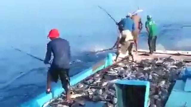 Fishing in Maldive смотреть онлайн