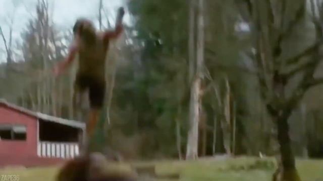 5 ГЛУПЫХ ВОПРОСОВ ПО ЛИТЕРАТУРЕ НА ДЕНЬГИ - Студенты отвечают на школьные вопросы по литературе. смотреть онлайн