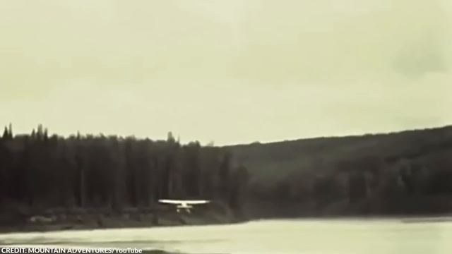 Scientists in Canada Were Shocked When They Found This 76 Million Year Old Dragon Skeleton смотреть онлайн