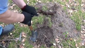 Minelab VANQUISH 540 находит лучше чем я думал.