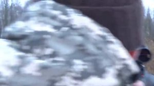ЗАГОННАЯ ОХОТА НА ЛОСЯ, КАБАНА, КОСУЛЮ. Хватило одного загона