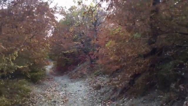 АБРАУ -ДЮРСО ОСЕНЬЮ! смотреть онлайн