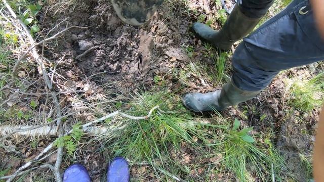 Раскопки с металлоискателем монеты в случайном месте 26 мая 2022 г. смотреть онлайн