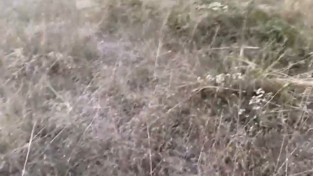 ЗАБРОШЕННАЯ СТРОЙКА ЧАСТЬ 14, ПОДОЗРИТЕЛЬНЫЙ МУЖИК, ПРЫЖОК С ОКНА, ЗАШЛИ В ТУПИК, ВЫХОДА НЕТ!!! смотреть онлайн
