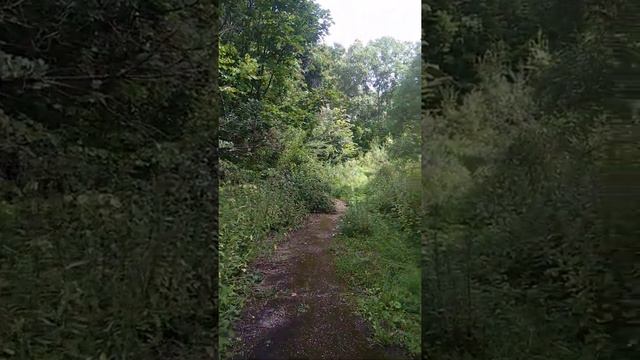 Заброшенный санаторий ВОЛНА 1 на Истринском водохранилище смотреть онлайн