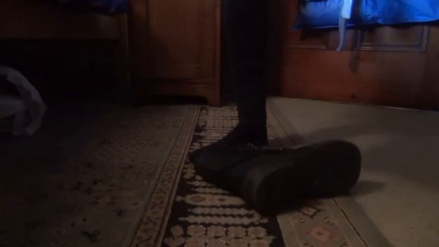 Goldilocks & The 3 Bears смотреть онлайн