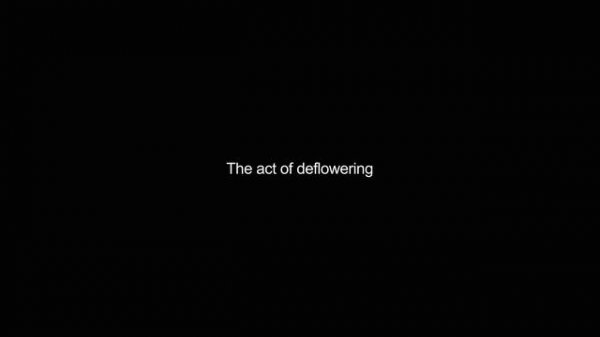 defloration video Dictionary meaning and pronunciation