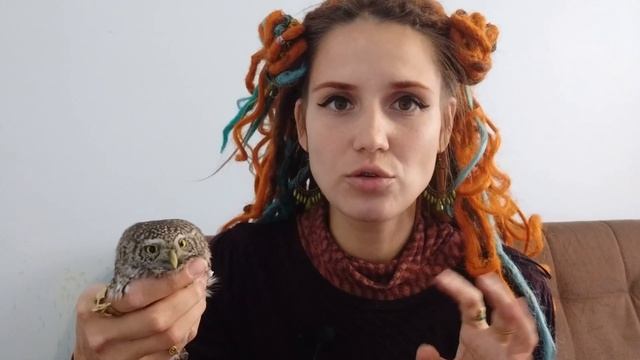 Воробьиный Сыч смотреть онлайн