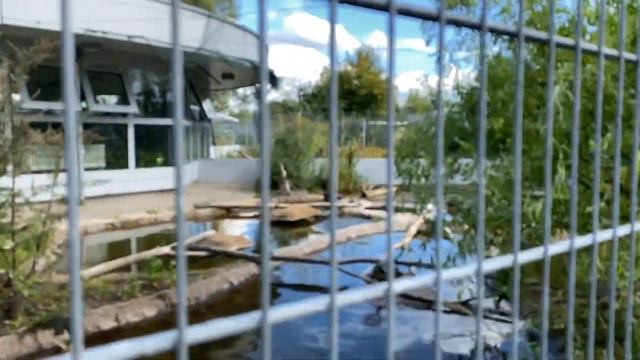 ПРИЮТ ДЛЯ ЖИВОТНЫХ В БЕРЛИНЕ смотреть онлайн