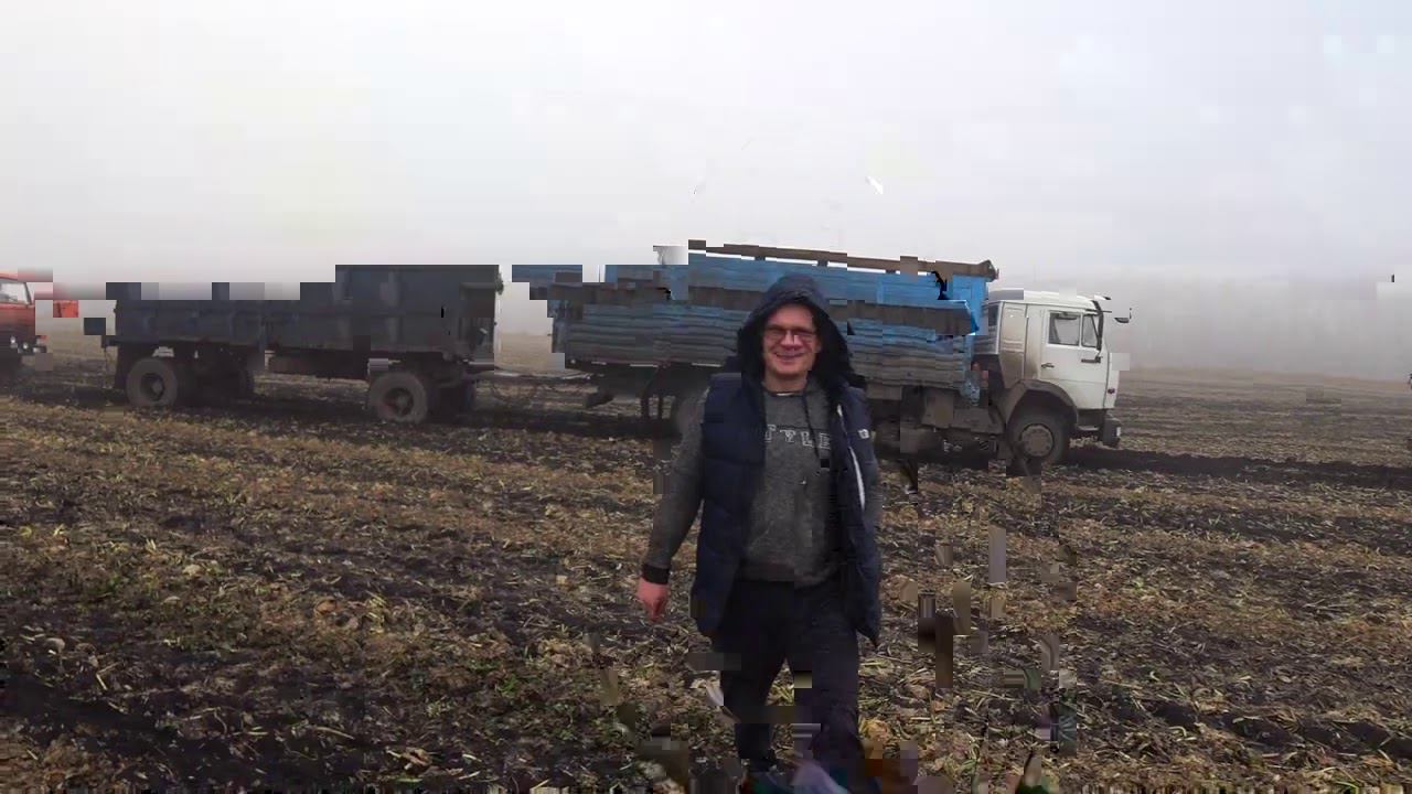 Уборка свеклы -5 Туман и грязь - это полная ж@па смотреть онлайн