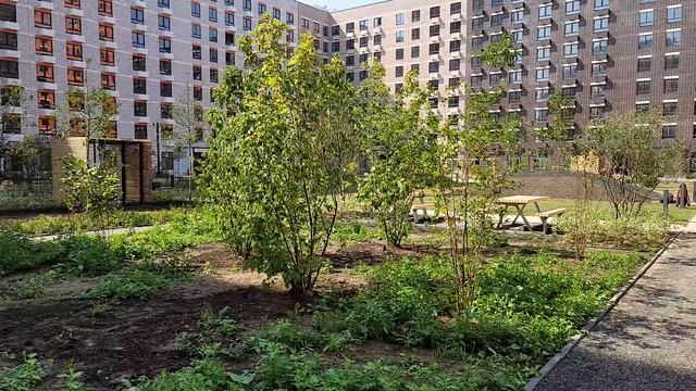 Ход строительства корпуса 2.2 смотреть онлайн