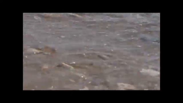 притча ( о том, что нужно беречь то, что имеете ) смотреть онлайн
