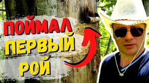 ПОЙМАЛ ПЕРВЫЙ БРОДЯЧИЙ РОЙ В КОЛОДУ #59