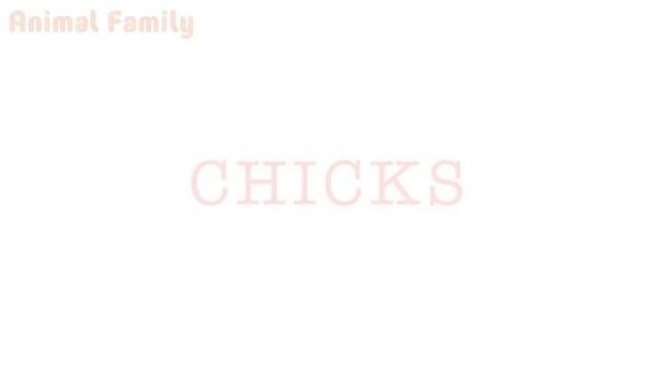 Animal Sounds for Children (20 Amazing Animals)