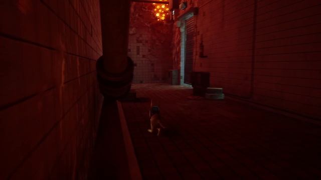 Stray #2 чайное прохождение