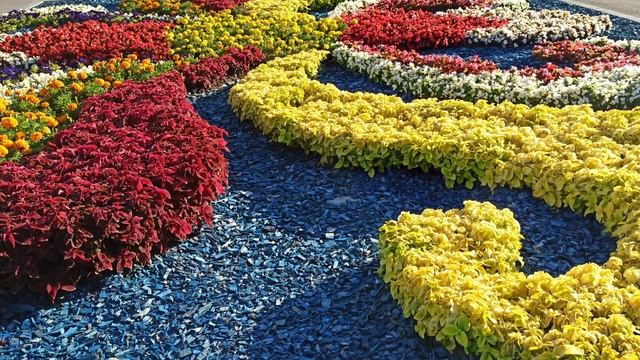 25 Идей удивительных и красивых форм цветочных клумб смотреть онлайн