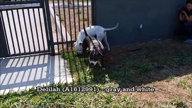 Playgroup 5/18/2016 смотреть онлайн