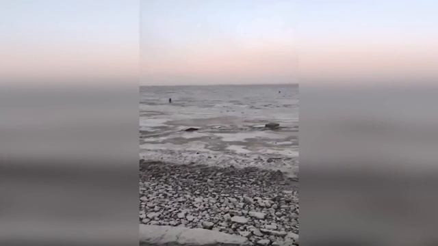 Азовское море ушло от берега на несколько километров. Таганрог обмеление пляжа. смотреть онлайн