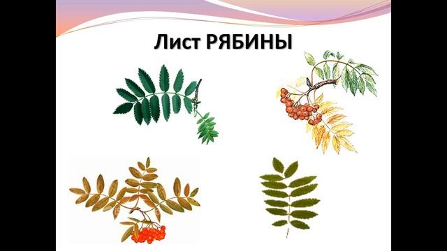 Учебник по Рукоделию