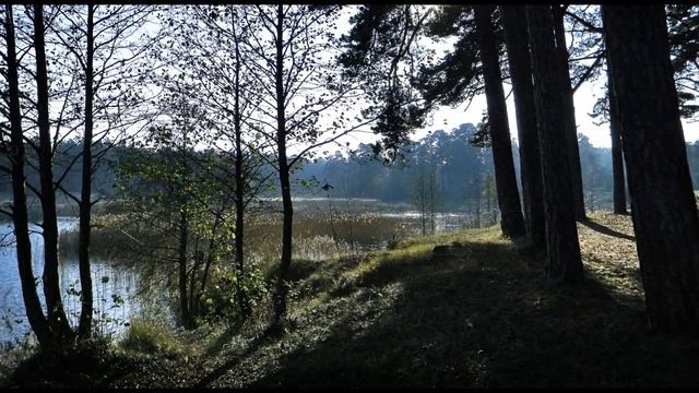 Осень на Беберлини смотреть онлайн