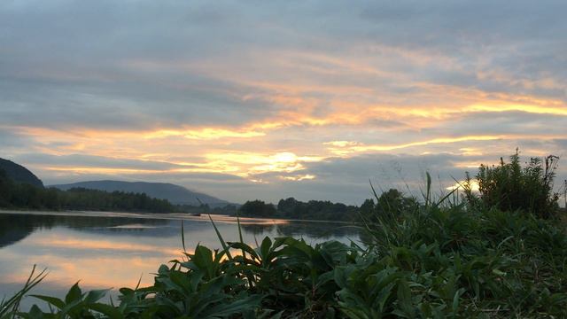 Речка Тиса под Хустом. смотреть онлайн