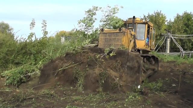 Пни на участке возле дома Надежды Васильевны. Мои подарки! смотреть онлайн