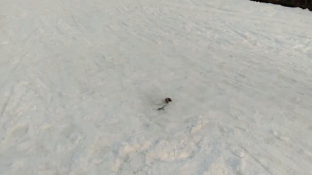 Летающий фейерверк Бабочка смотреть онлайн